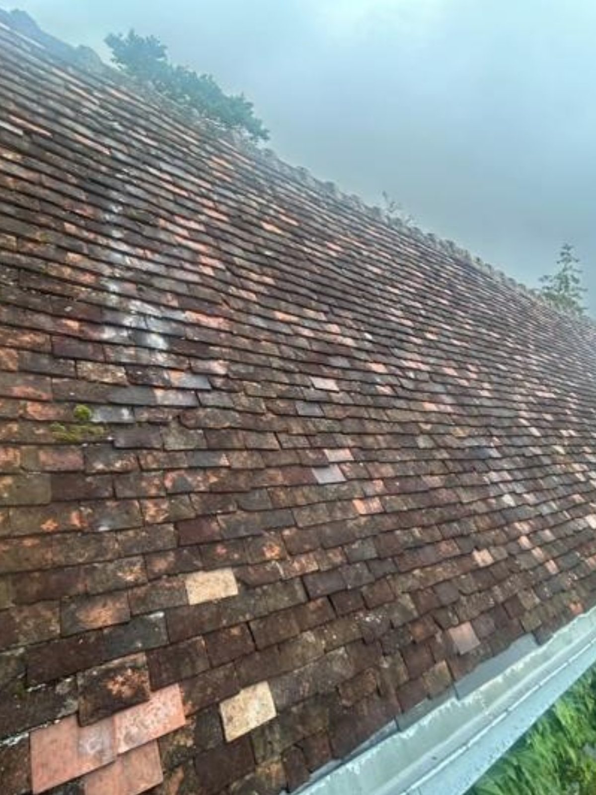 Démoussage toiture Luynes