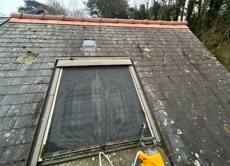 Démoussage toiture Saint-Avertin