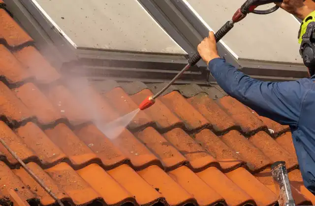 Démoussage toiture Pocé-sur-Cisse